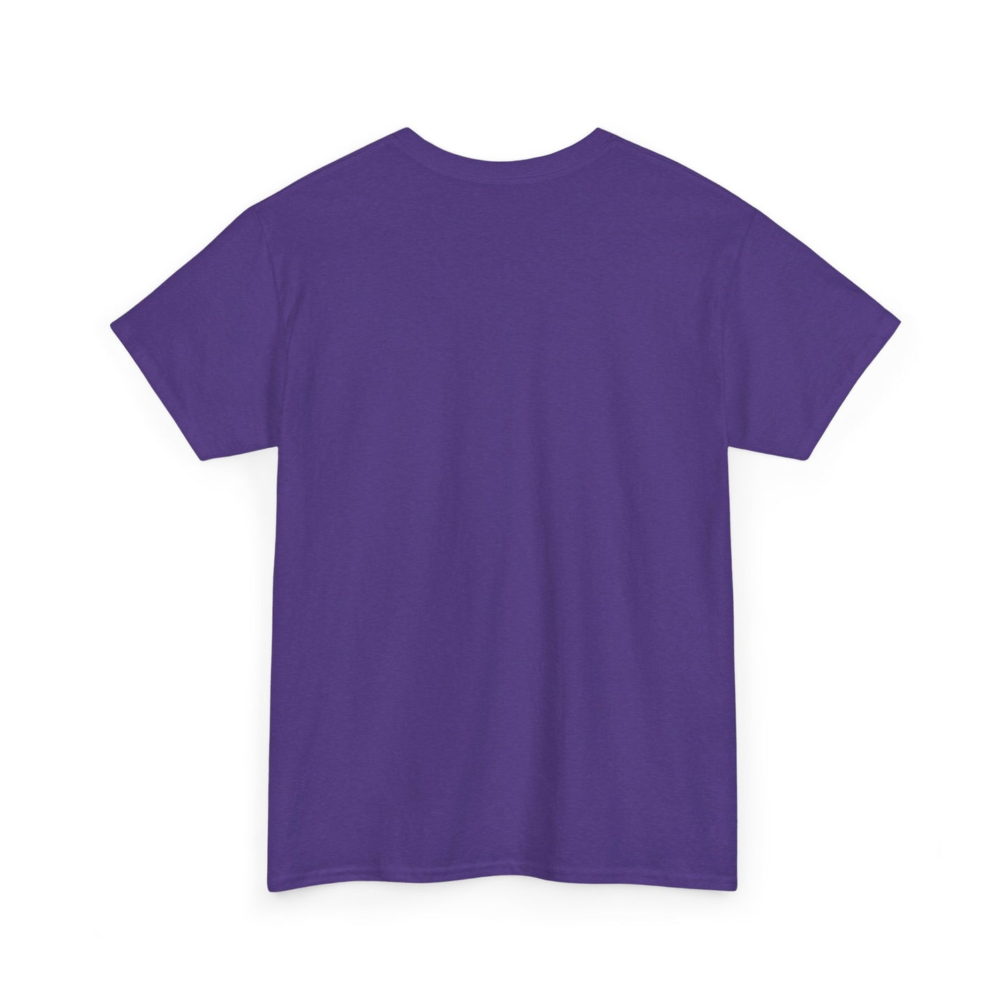 Divinely Led Spirit Fed Unisex Heavy Cotton Tee