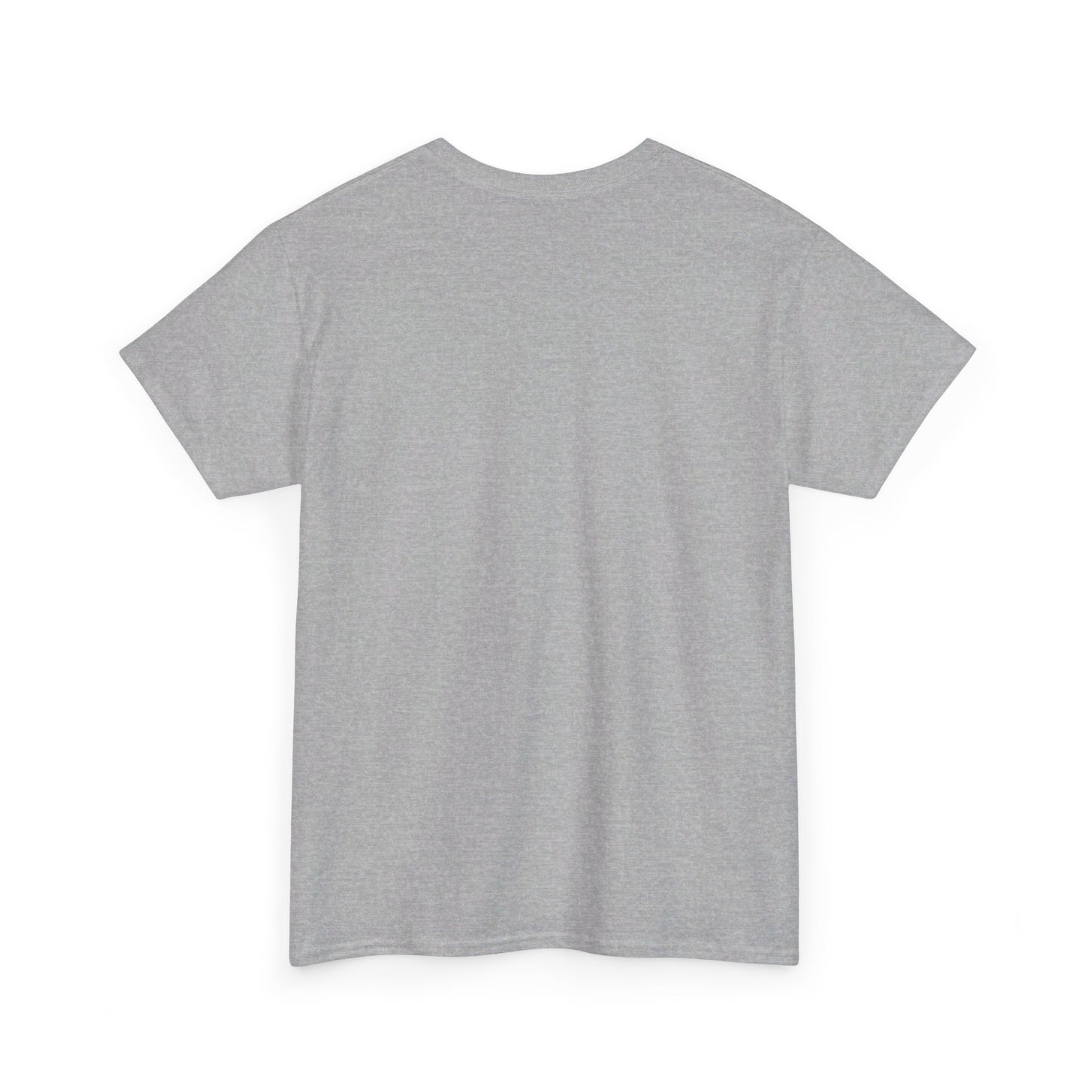 Divinely Led Spirit Fed Unisex Heavy Cotton Tee